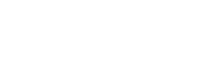 faytech logo white